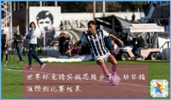 世界杯竞猜实战思路分享，助你精准预测比赛结果