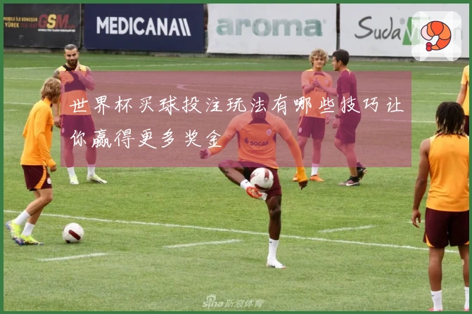 世界杯买球投注玩法有哪些技巧让你赢得更多奖金